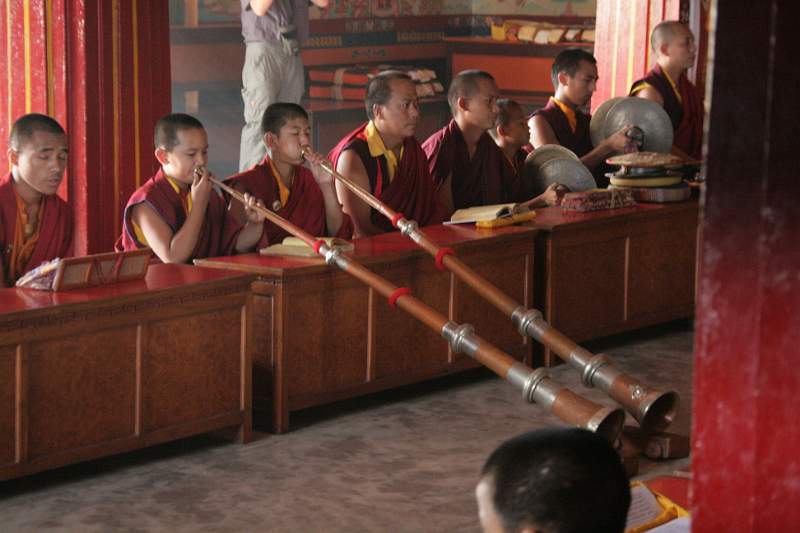 India & Nepal 2011 - 0456